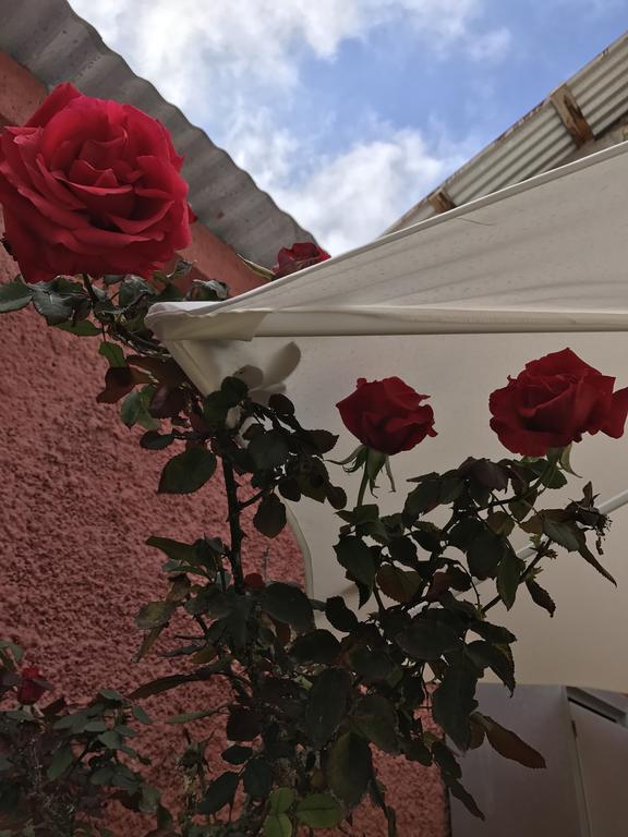Hostal Avenue La Serena Exterior photo