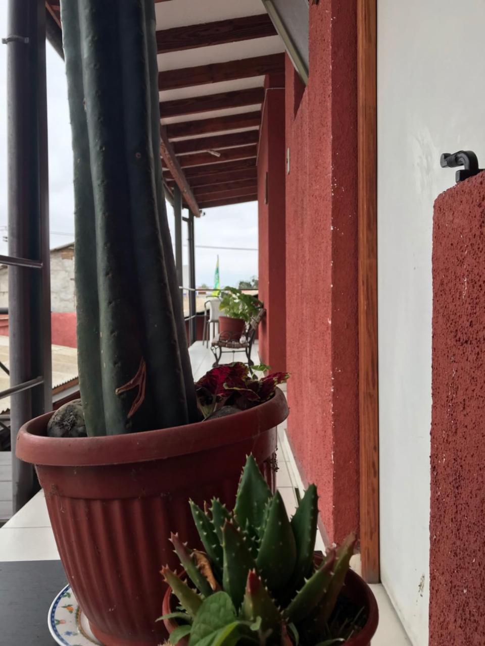 Hostal Avenue La Serena Exterior photo